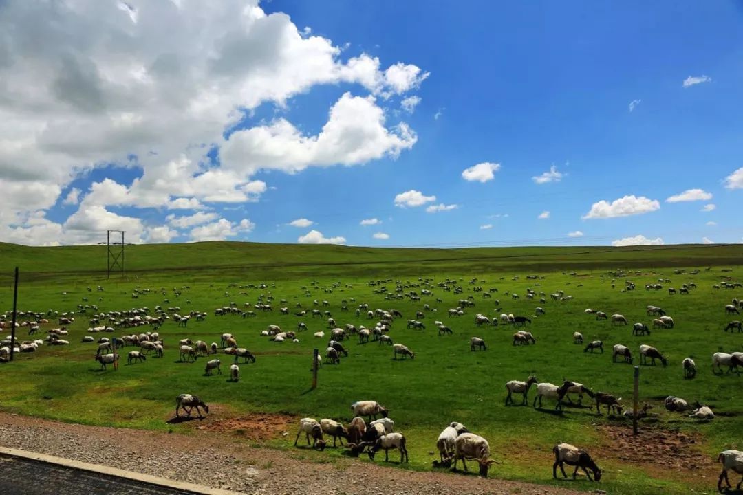 “旅游+农牧业”助力我省全域旅游腾飞